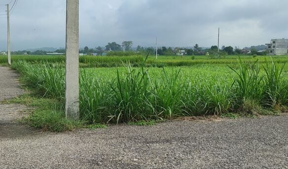 Residental land sale at kawasoti