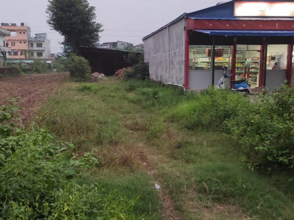Plot for Sale in Kawasoti