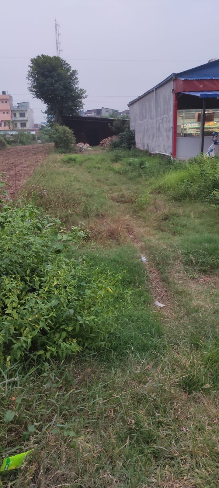 Plot for Sale in Kawasoti