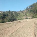 land for sale in bhaisipati banepa