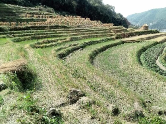 land for sale in banepa 3