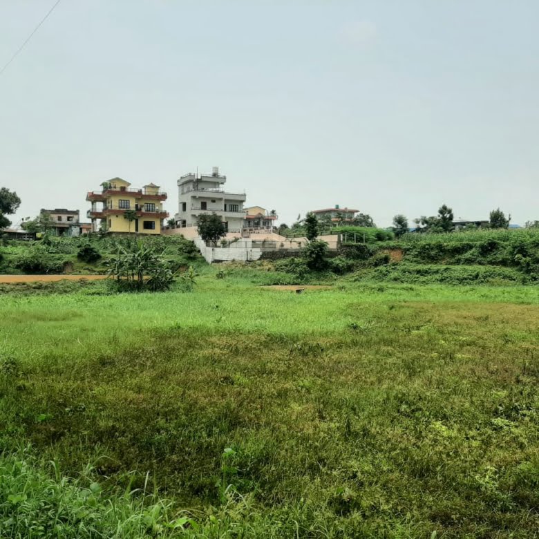 Urgent Land Sale in Half Price