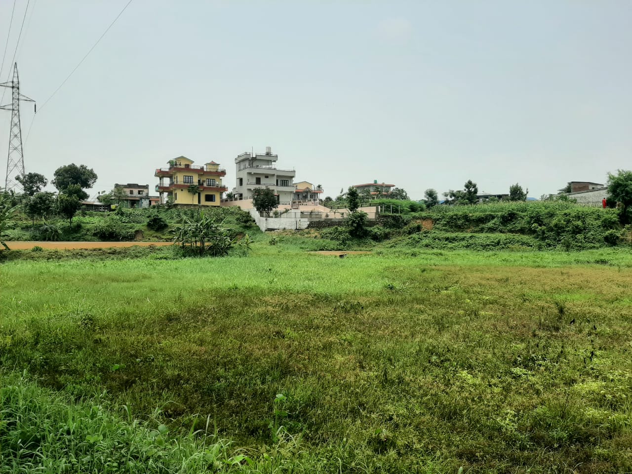 Urgent Land Sale in Half Price