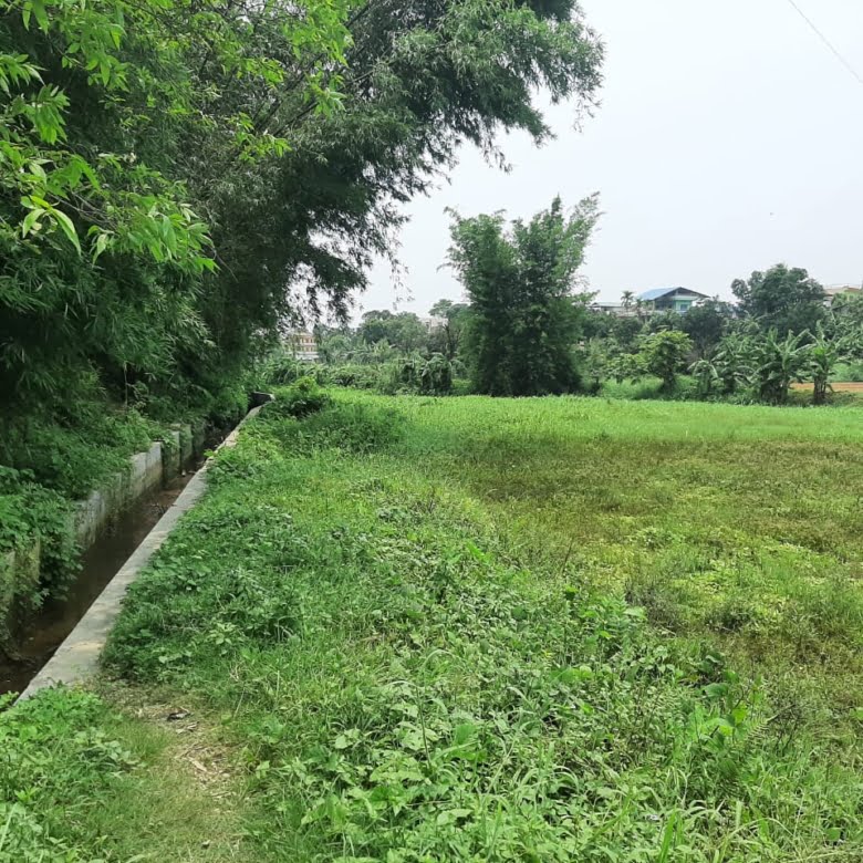 Urgent Land Sale in Half Price
