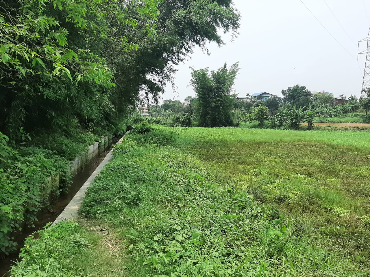 Urgent Land Sale in Half Price