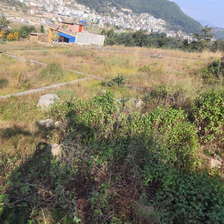 Land for Sale in Syuchatar Near Kalanki