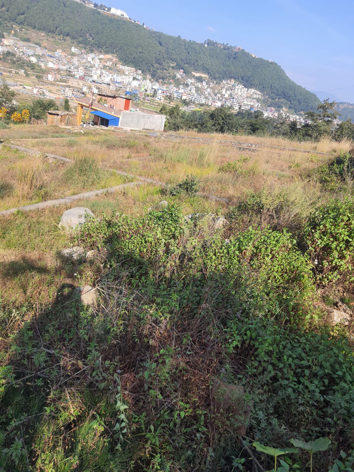 Land for Sale in Syuchatar Near Kalanki