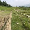 Cheap land sale in Sakhu Road