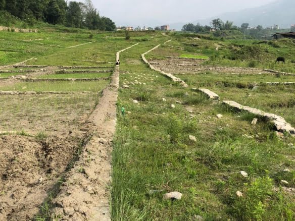 Cheap land sale in Sakhu Road