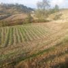 13 aana land for Sale in Chapagaun Muldole