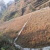 Chapagaun Ma Urgent Jagga Bikri