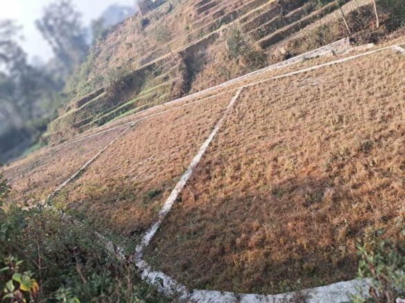 Chapagaun Ma Urgent Jagga Bikri