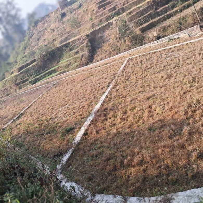 चापागाउँमा अर्जेन्ट जग्गा बिक्रीमा