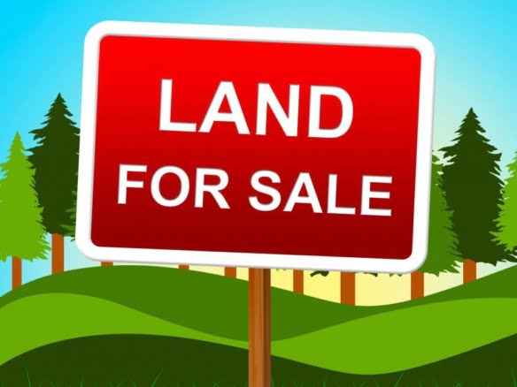 4 Aana Land sale in Dahachok Chandragiri