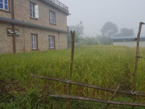 Land for Sale in Pokhara Lekhnath