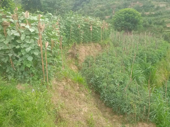 Land for Sale in Dhulikhel Khawa