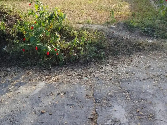 Land for Sale in Pokhara Rithepani Golpatan