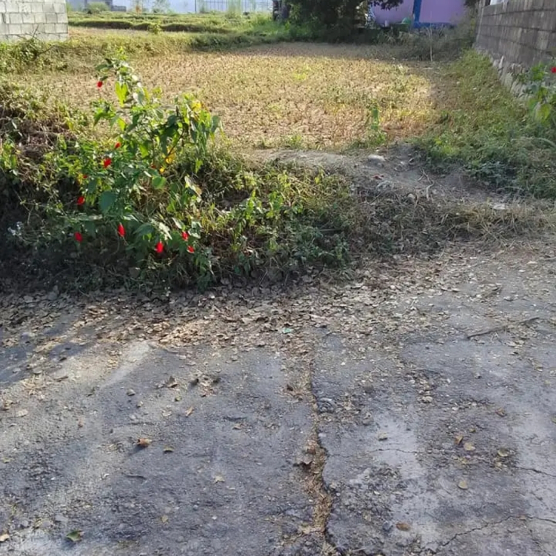 Land for Sale in Pokhara Rithepani Golpatan