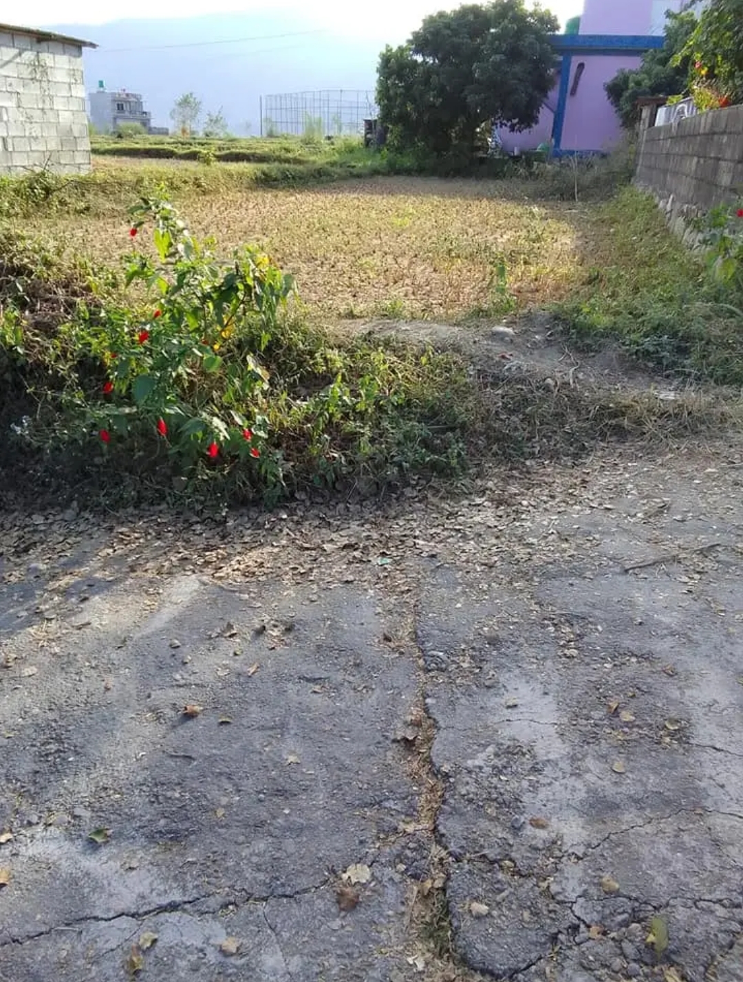 Land for Sale in Pokhara Rithepani Golpatan