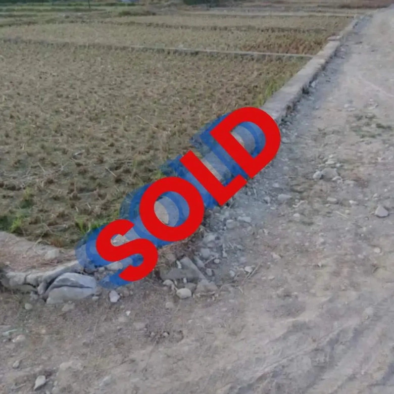 Land for sale in Pokhara Birauta near Bidhyaniketan school