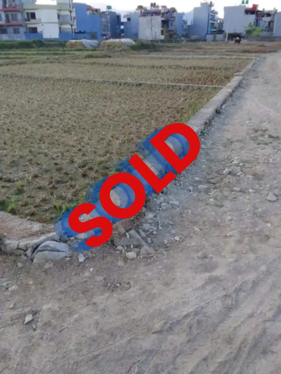 Land for sale in Pokhara Birauta near Bidhyaniketan school