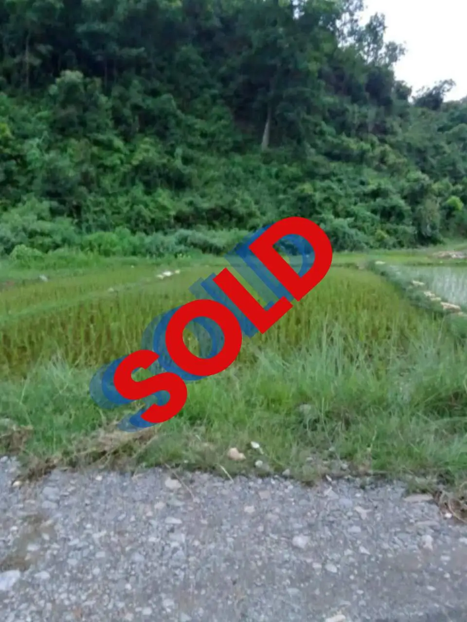 Land for Sale in Pokhara near Sishuwa chok