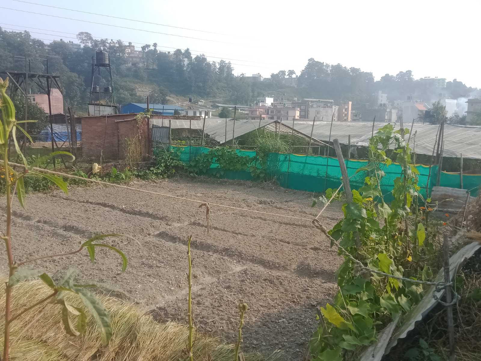 Land for Sale in Phutung near Nagpokhari