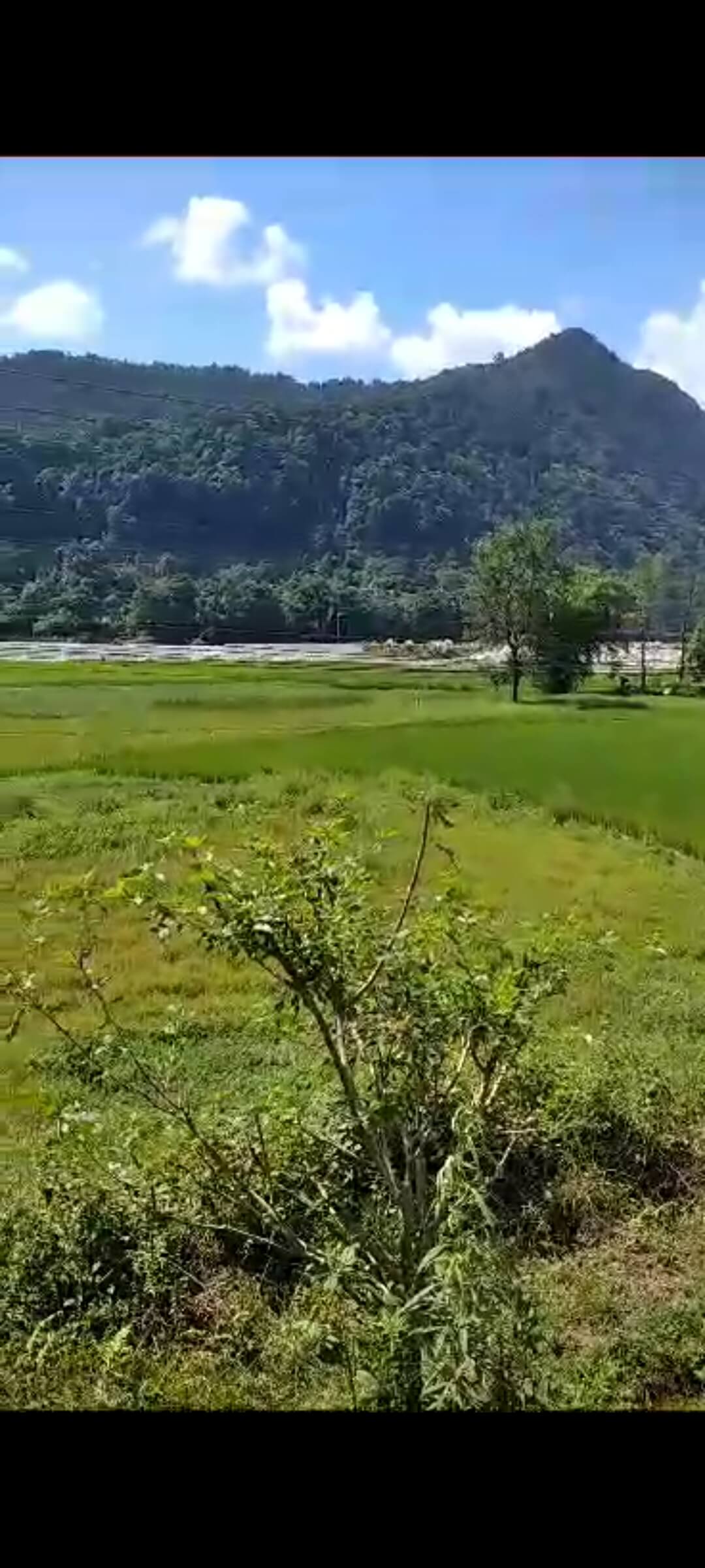 Agricultural Land for Sale in Tanahaun Satrasaya