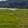 Agricultural Land for Sale in Tanahaun Satrasaya