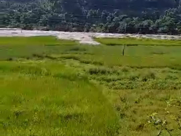 Agricultural Land for Sale in Tanahaun Satrasaya