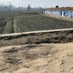Land for Sale in Bhaktapur Chhaling Pakunepati