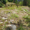 Land for Sale in Pokhara Sarangkot Simtal