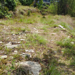 Land for Sale in Pokhara Sarangkot Simtal