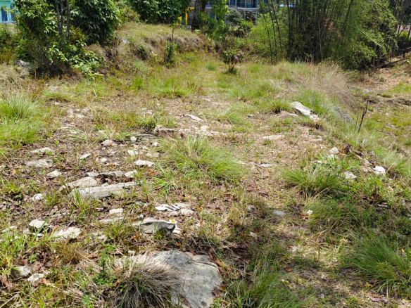 Land for Sale in Pokhara Sarangkot Simtal