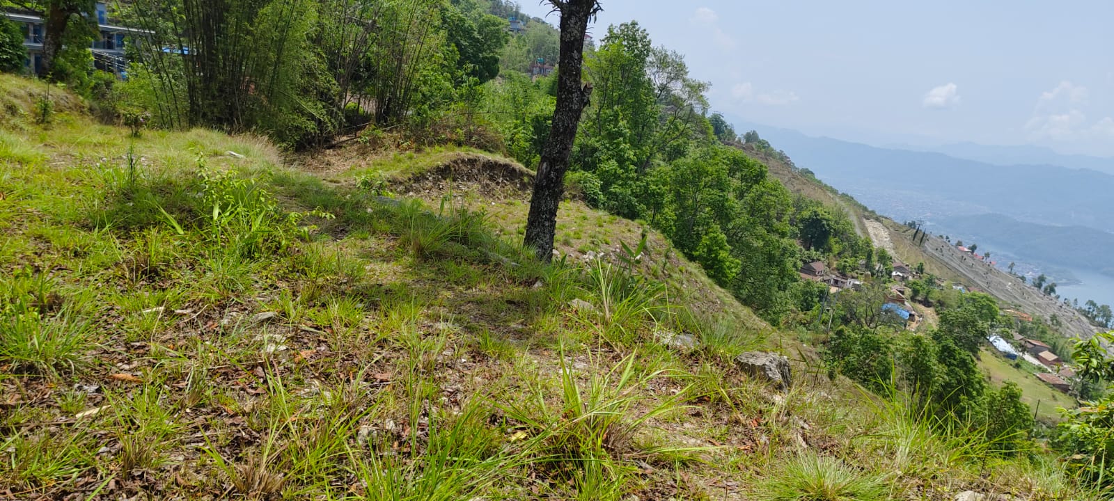Land for Sale in Pokhara Sarangkot Simtal