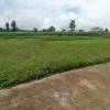 Land for Sale in Hetauda Padampokhari