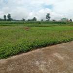 Land for Sale in Hetauda Padampokhari