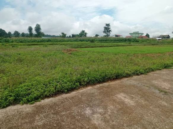 Land for Sale in Hetauda Padampokhari