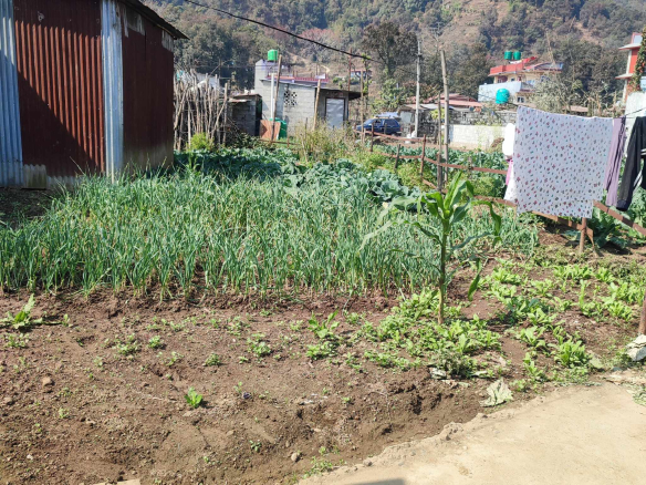 Land for Sale in Pokhara Malepatan near Step by step school