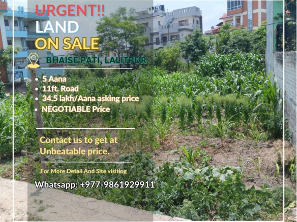 Land For Sale In Bhaisepati Lalitpur At Unbeatable Price
