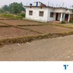 Land for Sale in Mahendranagar Jhalari