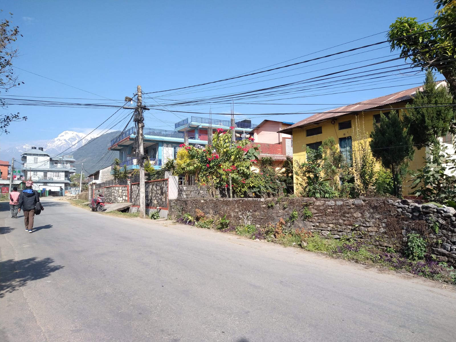 Land for Sale in Pokhara 19 Lamachour near GBS