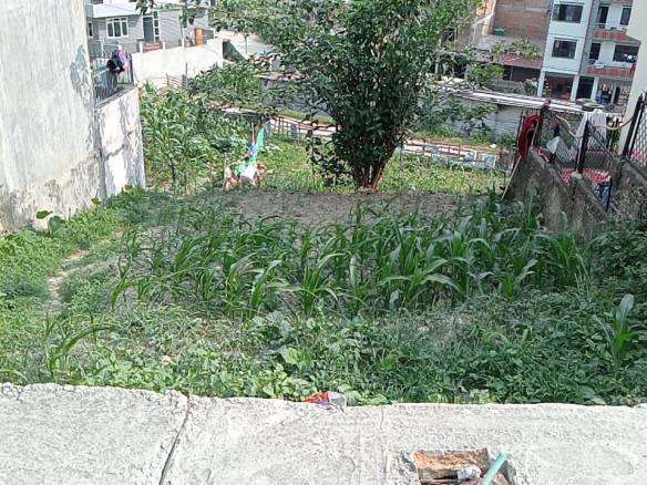 Land for Sale in Kathmandu Lolang Hariyali