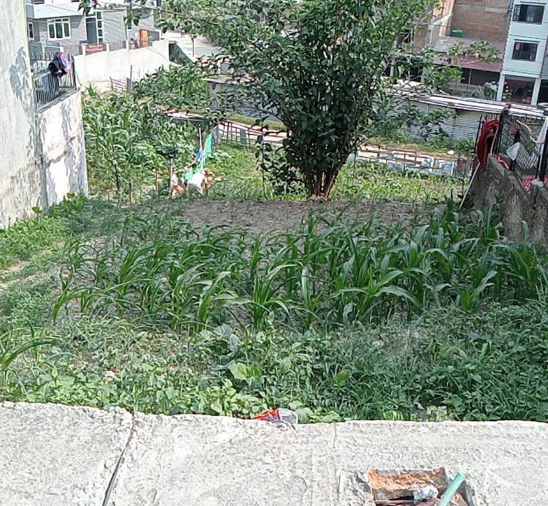 Land for Sale in Kathmandu Lolang Hariyali