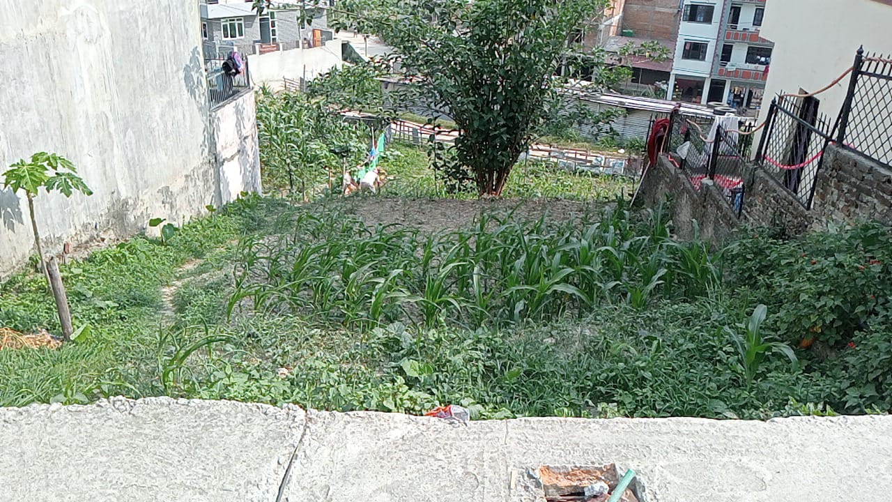 Land for Sale in Kathmandu Lolang Hariyali