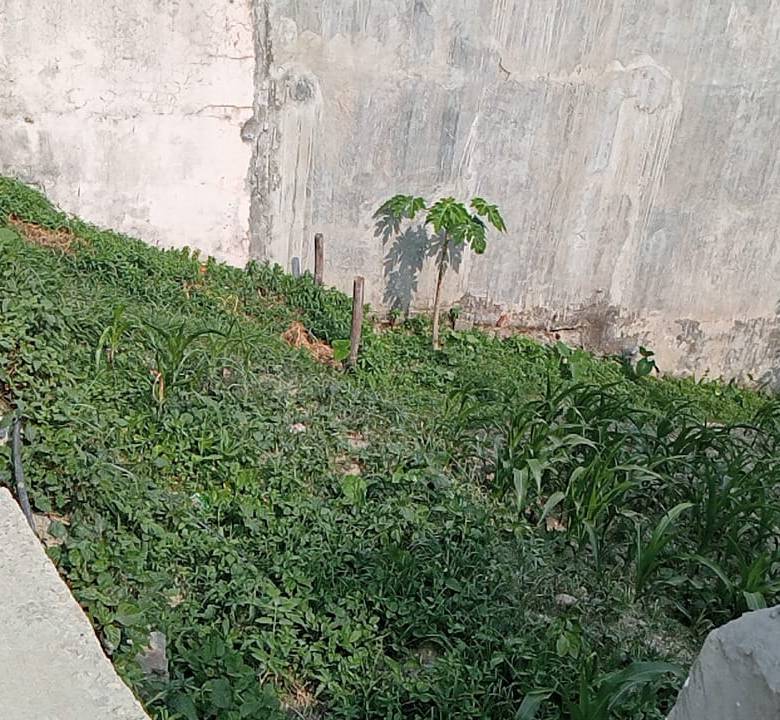 Land for Sale in Kathmandu Lolang Hariyali