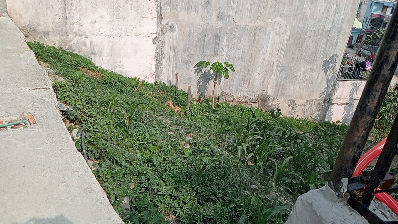 Land for Sale in Kathmandu Lolang Hariyali
