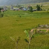Land for Sale in Chahare Nuwakot