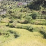 Land for Sale in Pokhara 18 Sedi Village
