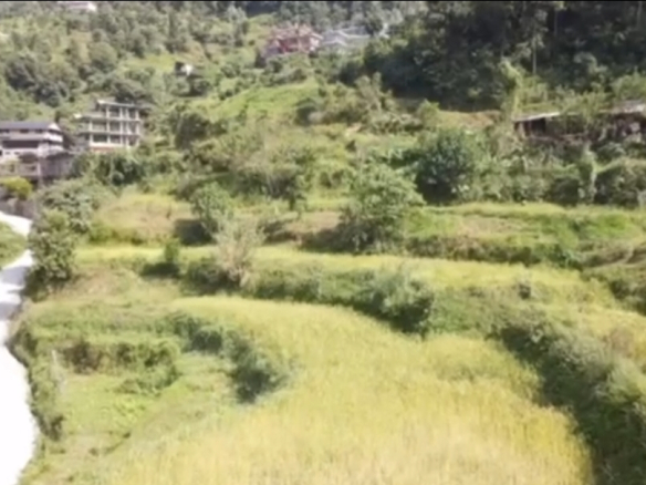 Land for Sale in Pokhara 18 Sedi Village